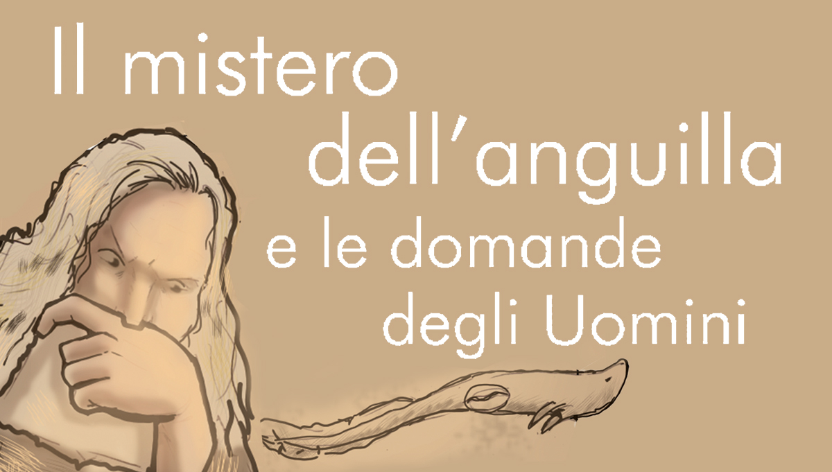 Il mistero dell’anguilla e le domande degli Uomini