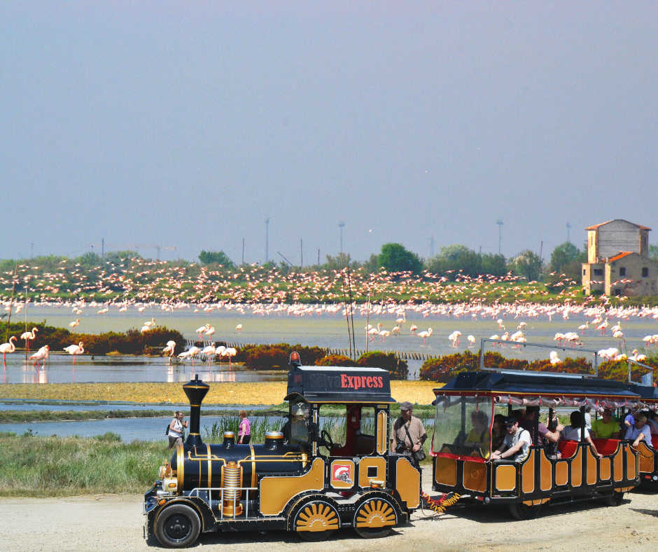 La Salina di Comacchio