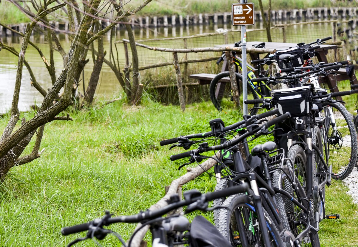 In bicicletta alla vecchia Salina di Comacchio