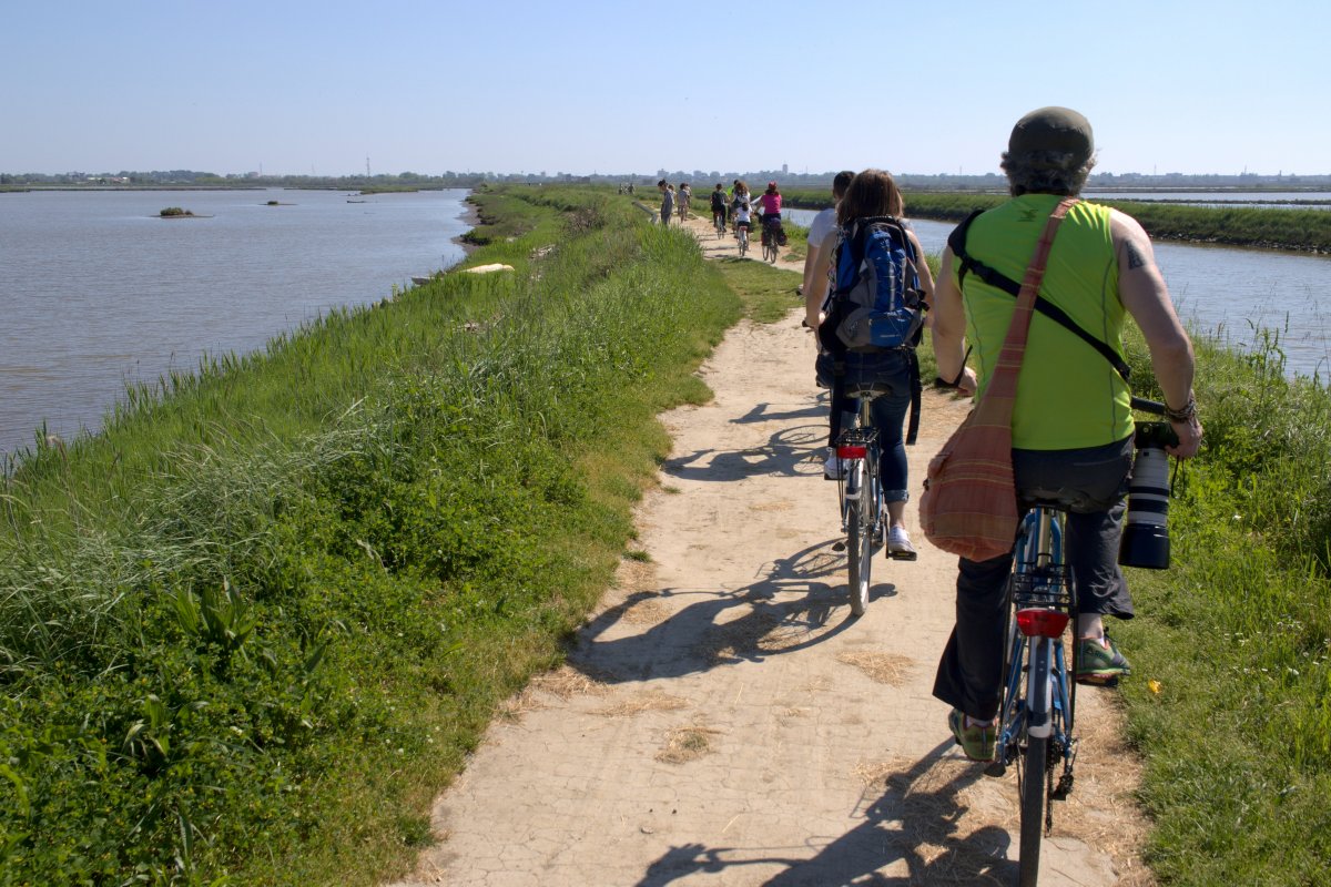 Aperi-bici nelle Valli di Comacchio